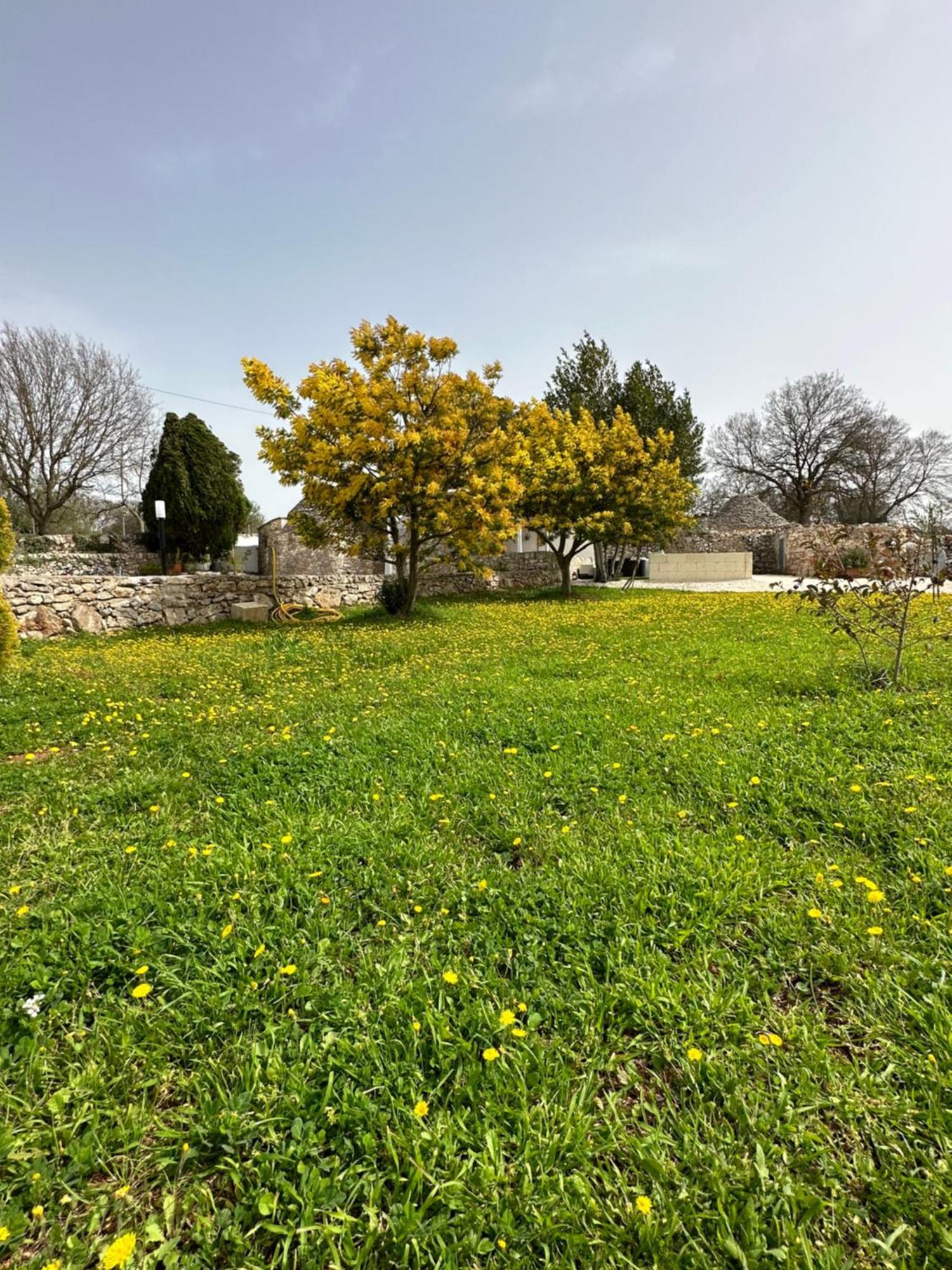 Trulli In Contrada Villa Ночи Екстериор снимка